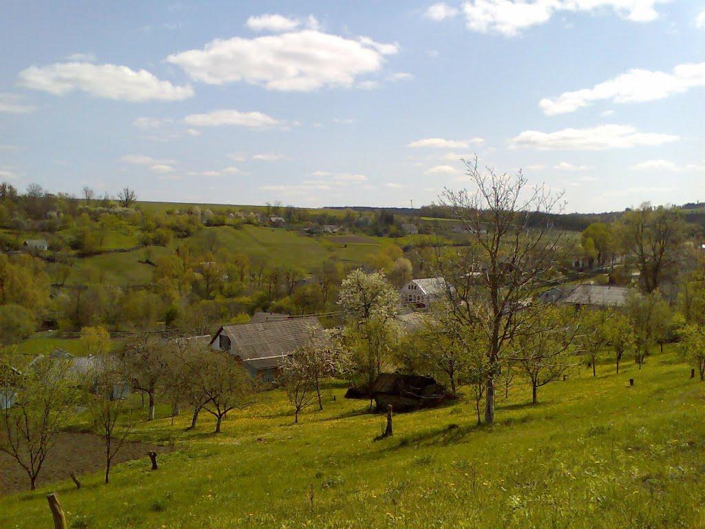 Блищанівка з panoramio.com - Блещановка