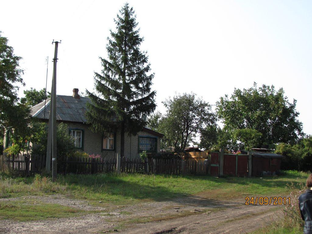 Комісарівка з panoramio.com - Комиссаровка