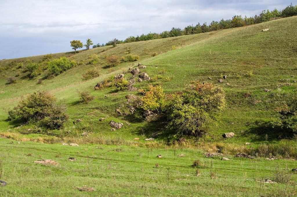 Гірницьке з panoramio.com - Гірницьке