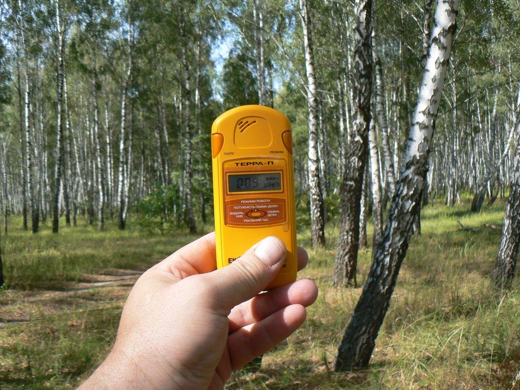 Лісники з panoramio.com - Лісники