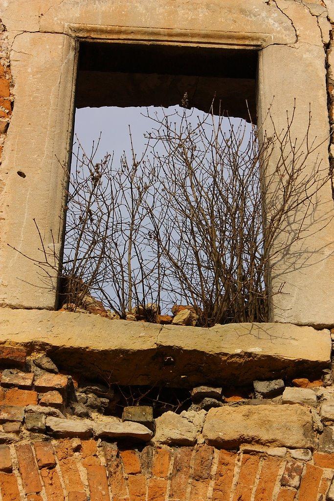 Старе Село з panoramio.com - Старое Село