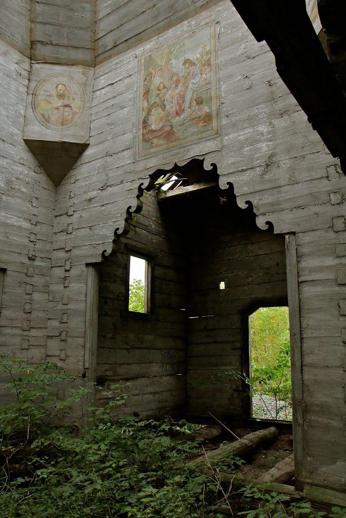 Біловежі Перші з panoramio.com - Біловежі Перші