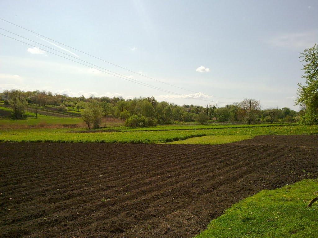 Рижанівка з panoramio.com - Рижанівка