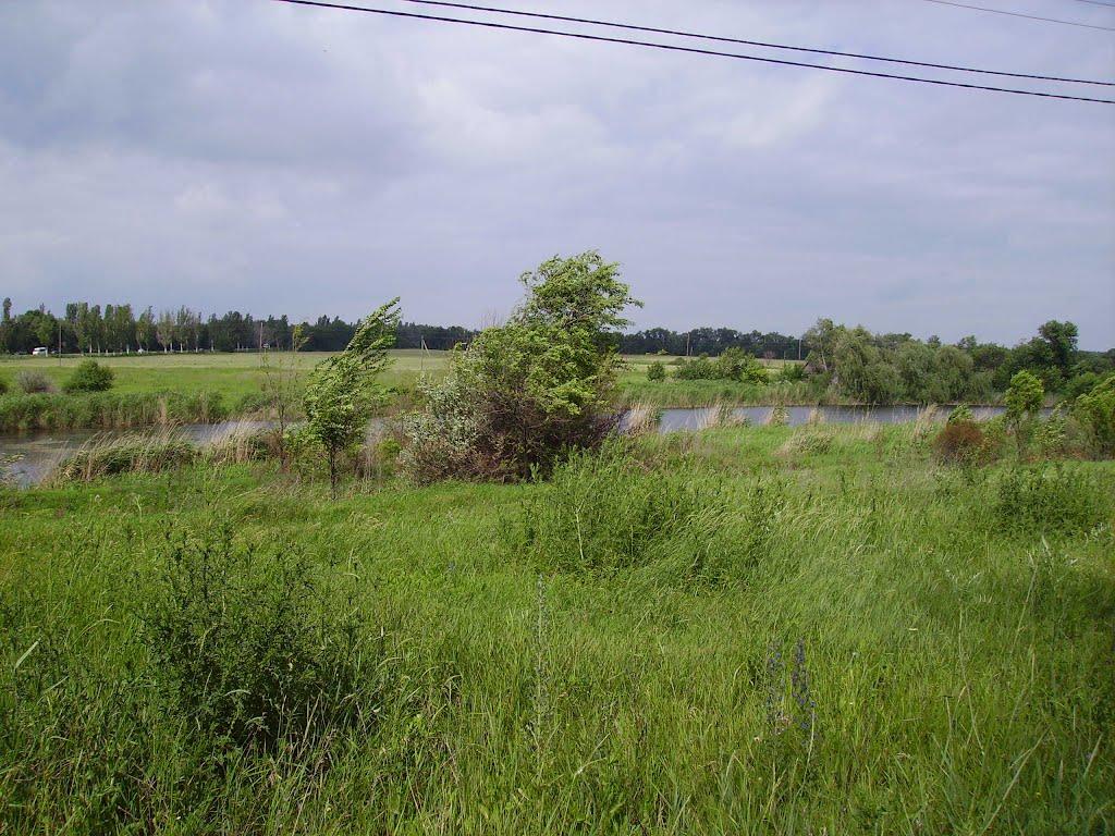 Доля з panoramio.com - Доля