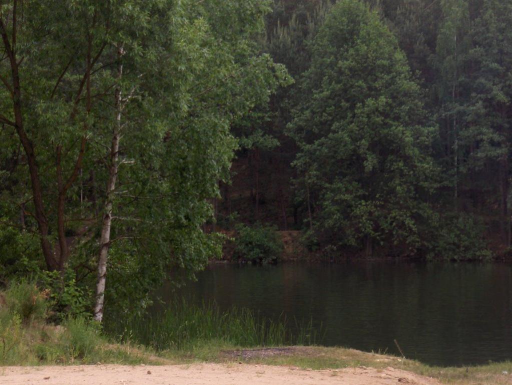 Лобачів з panoramio.com - Лобачів