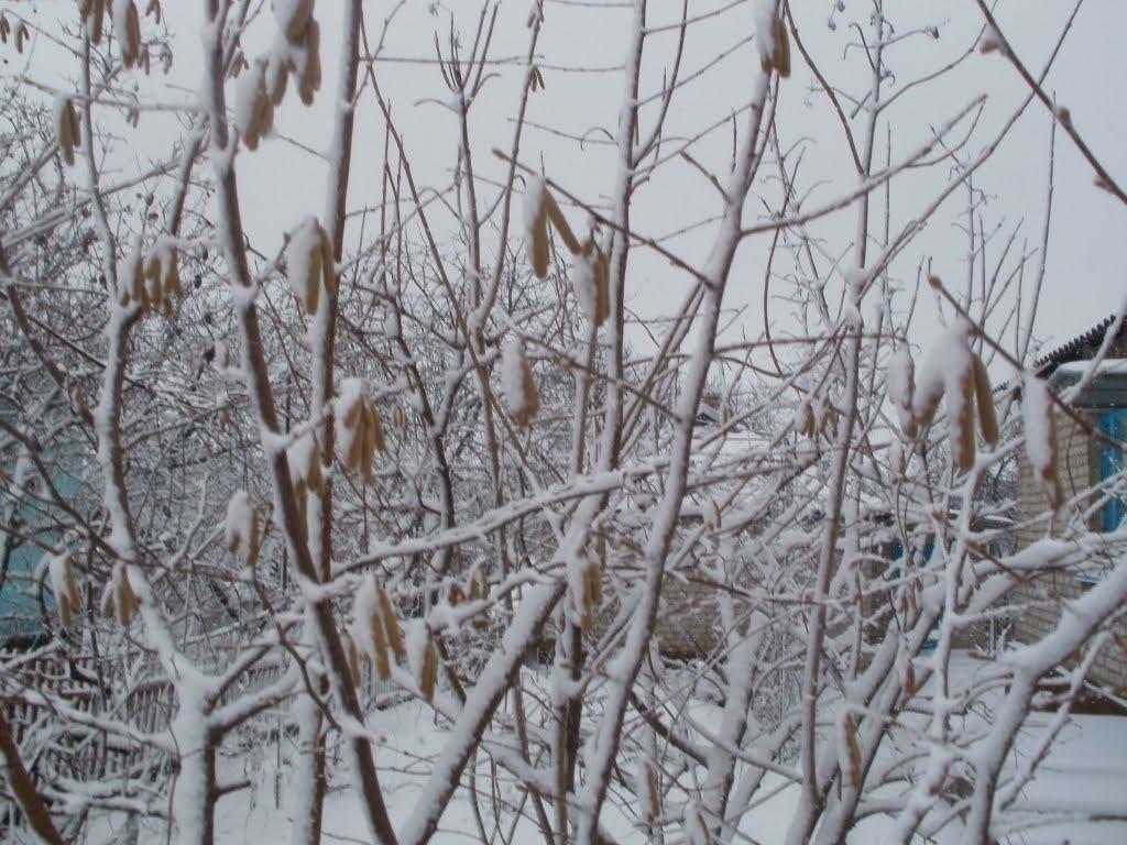 Доманівка з panoramio.com - Доманівка