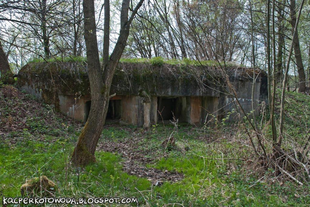 Шаварі з panoramio.com - Шаварі