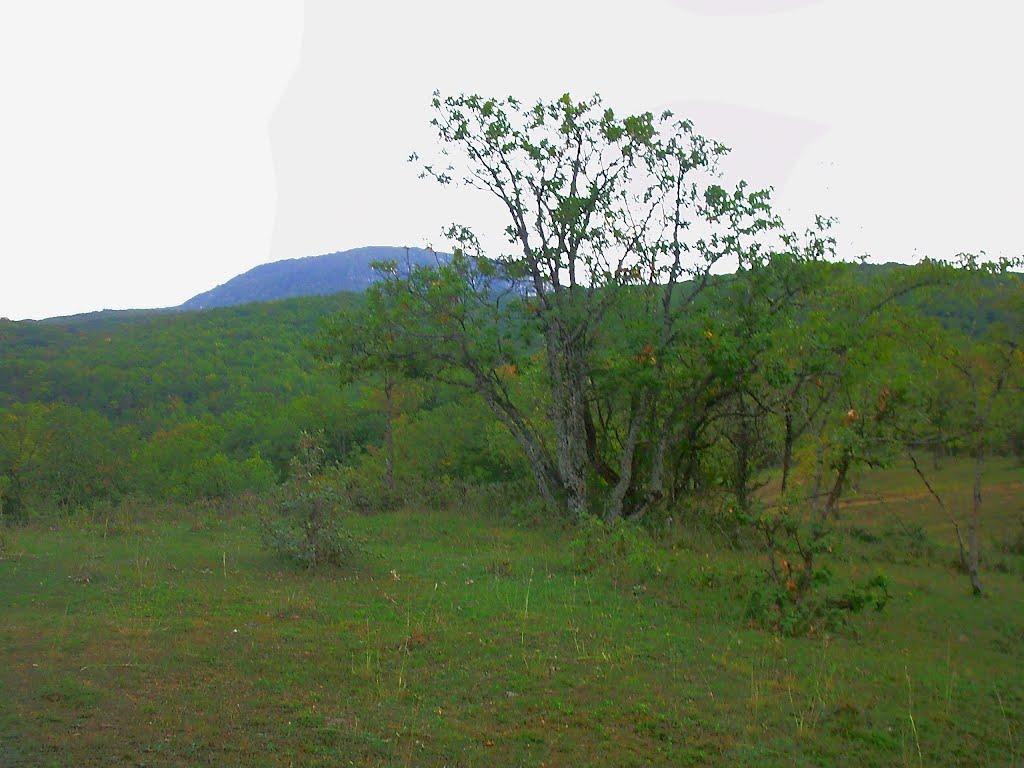 Плотинне з panoramio.com - Плотинне