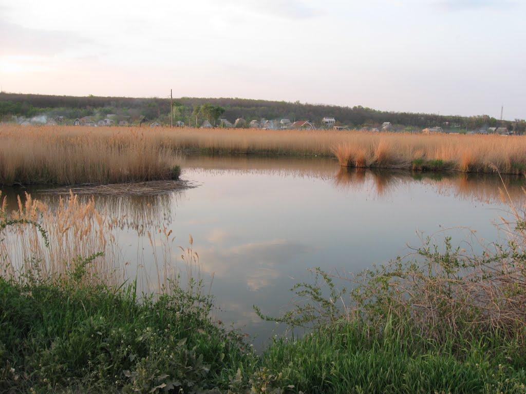 Приморське з panoramio.com - Приморское