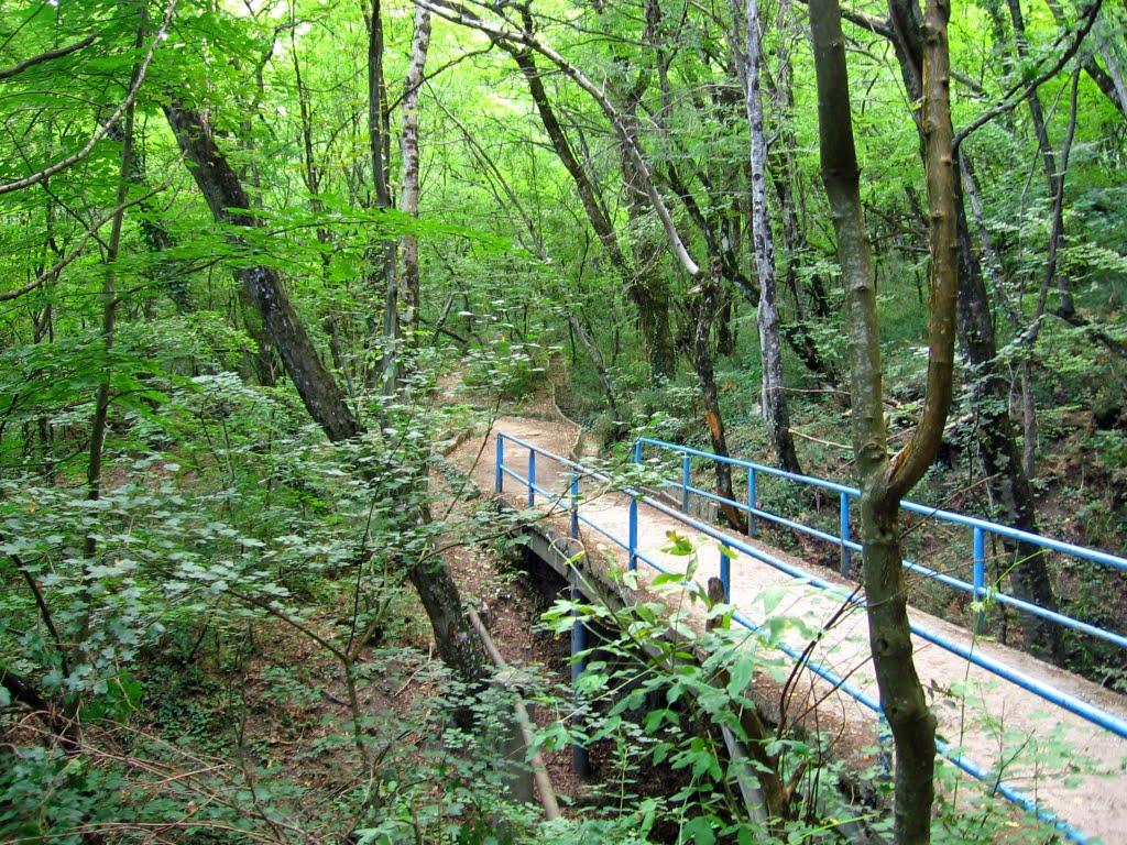 Курпати з panoramio.com - Курпати