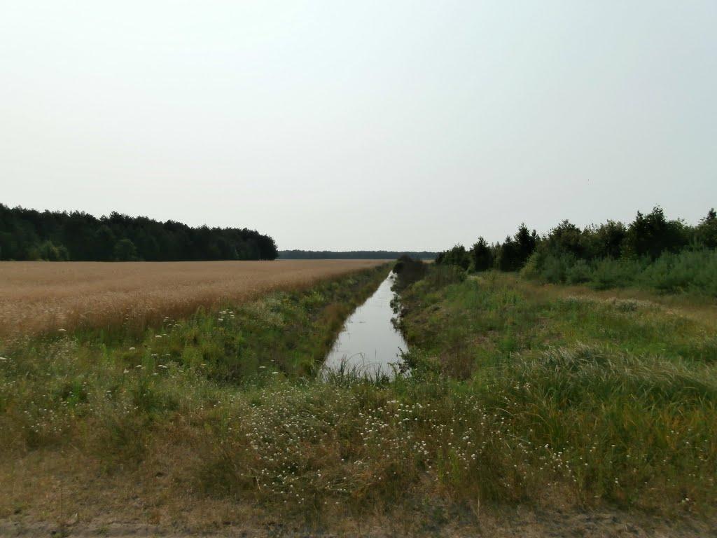 Ниговищі з panoramio.com - Ниговищи