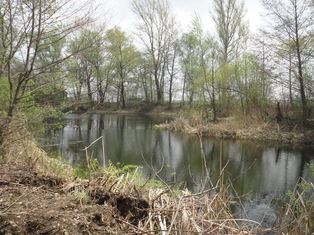 Підвиноградів з panoramio.com - Подвиноградов