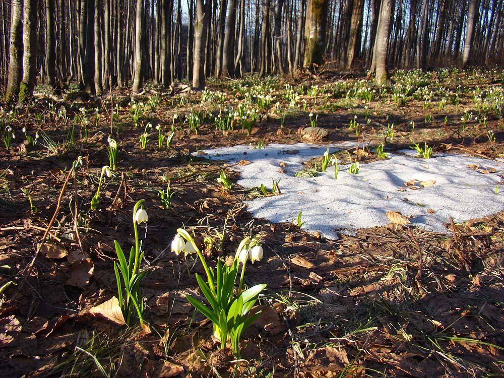 Сопки з panoramio.com - Сопки