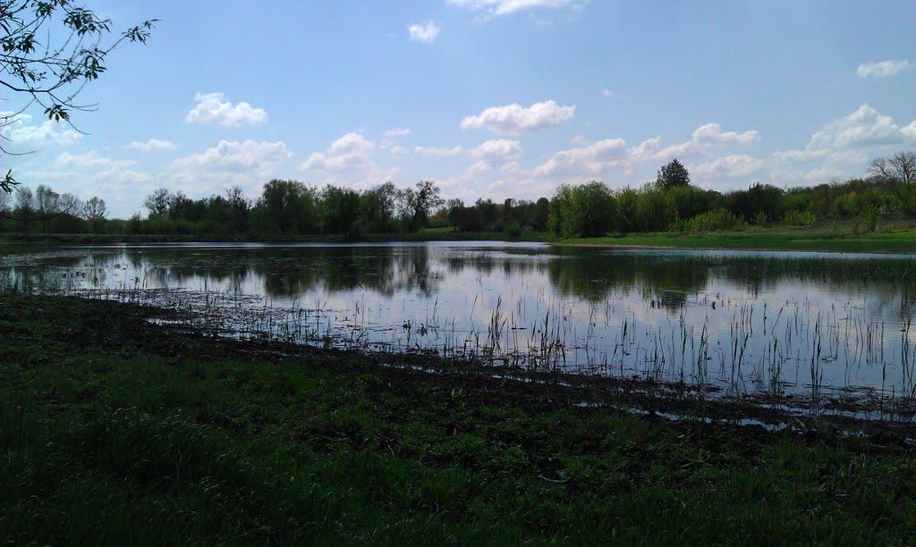 Рижанівка з panoramio.com - Рижанівка