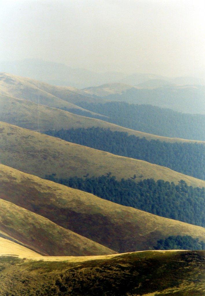 Гукливий з panoramio.com (ч.2) - Гукливый