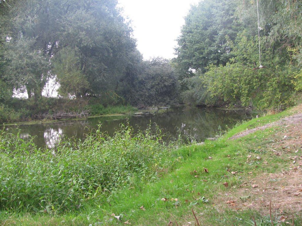 Косівка з panoramio.com - Косівка