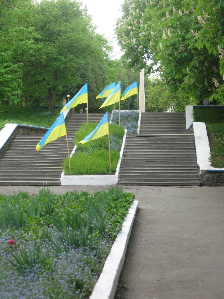 Горохів з panoramio.com - Горохів