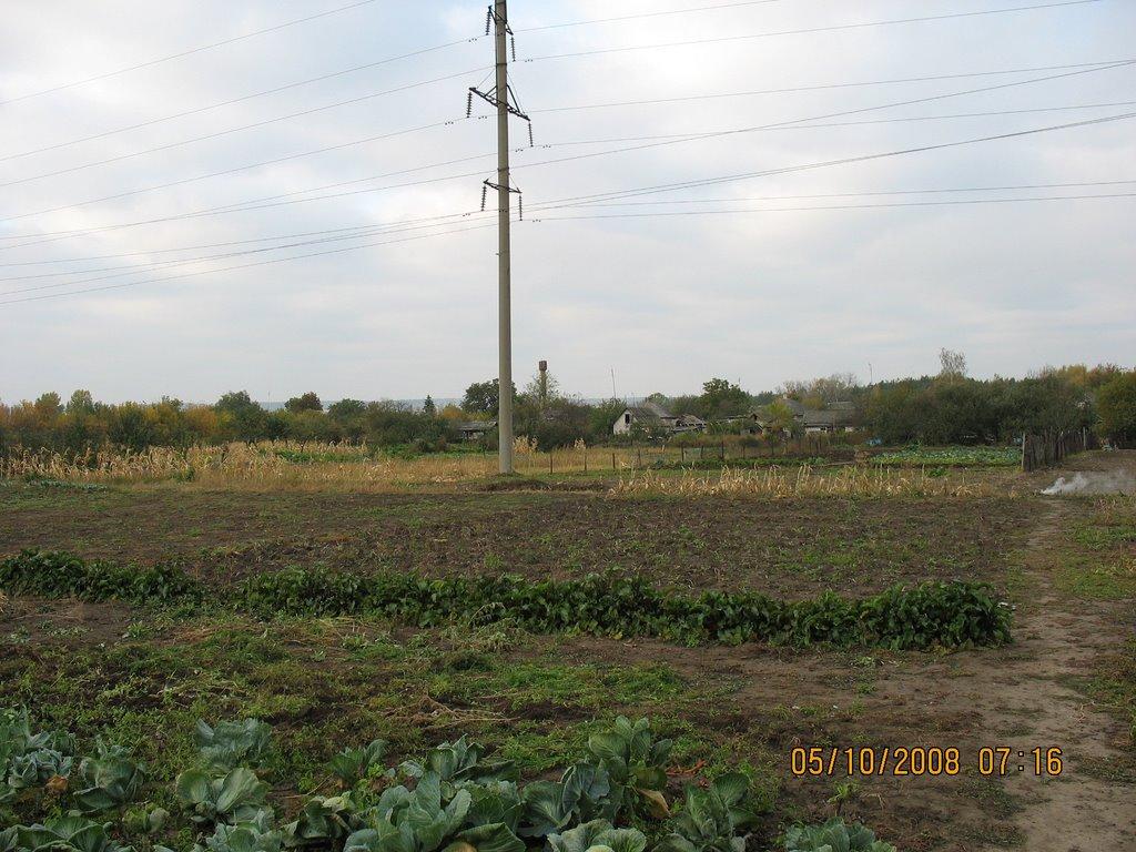 Новоайдар з panoramio.com - Новоайдар