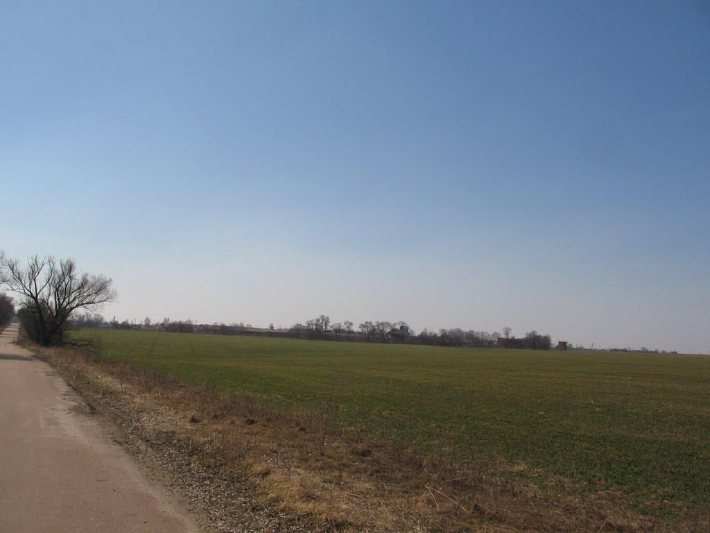 Товстоліс з panoramio.com - Толстолес