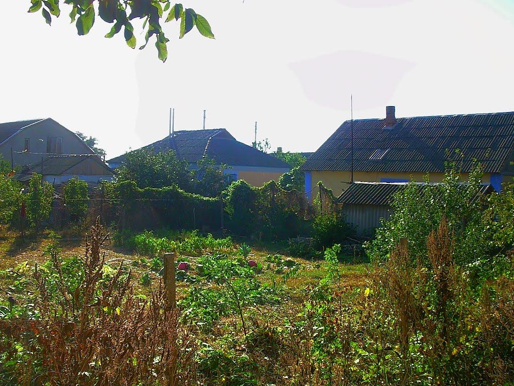 Розсадне з panoramio.com - Rozsadne