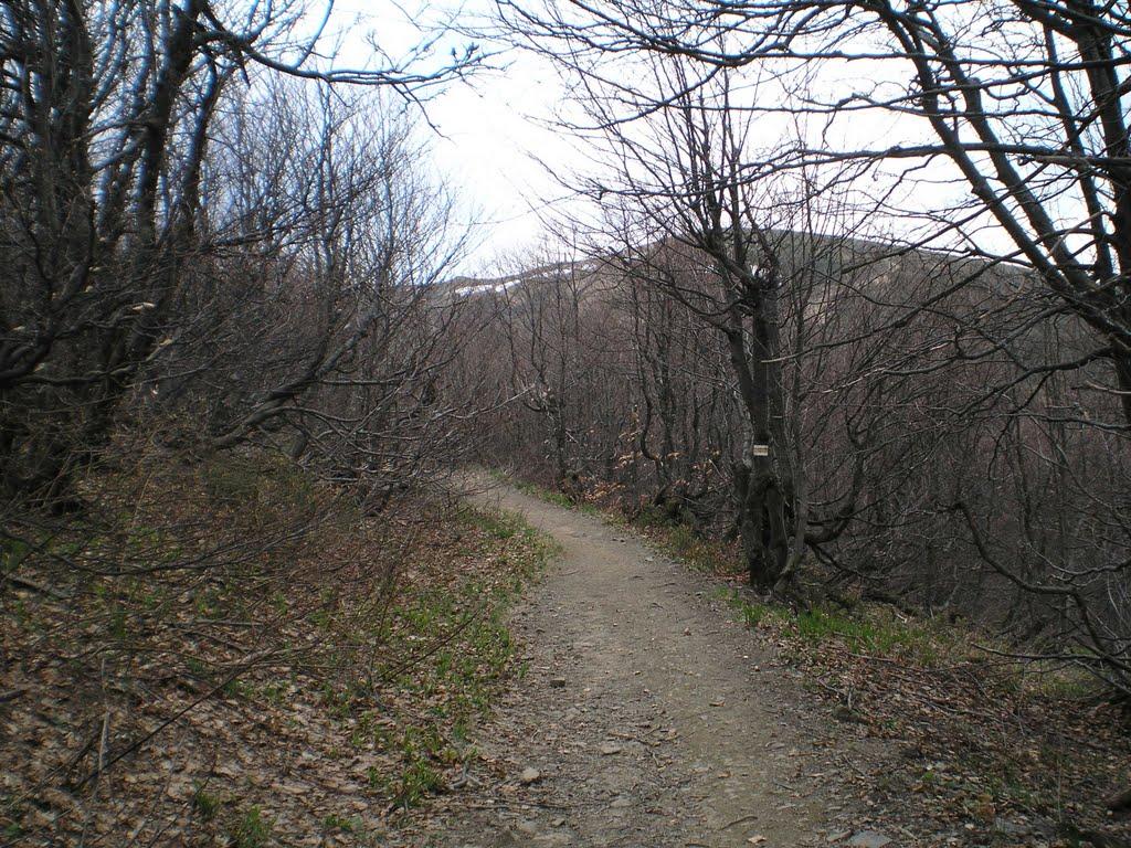 Стужиця з panoramio.com (ч.2) - Стужица