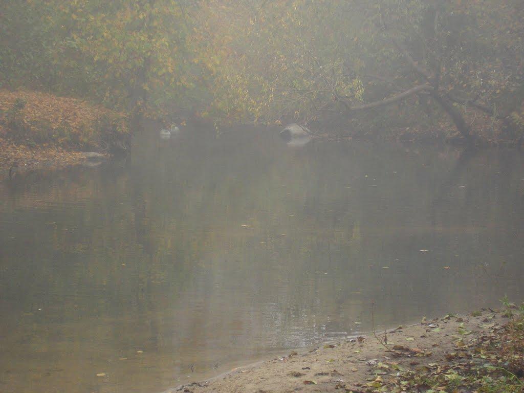 Верлок з panoramio.com - Верлок