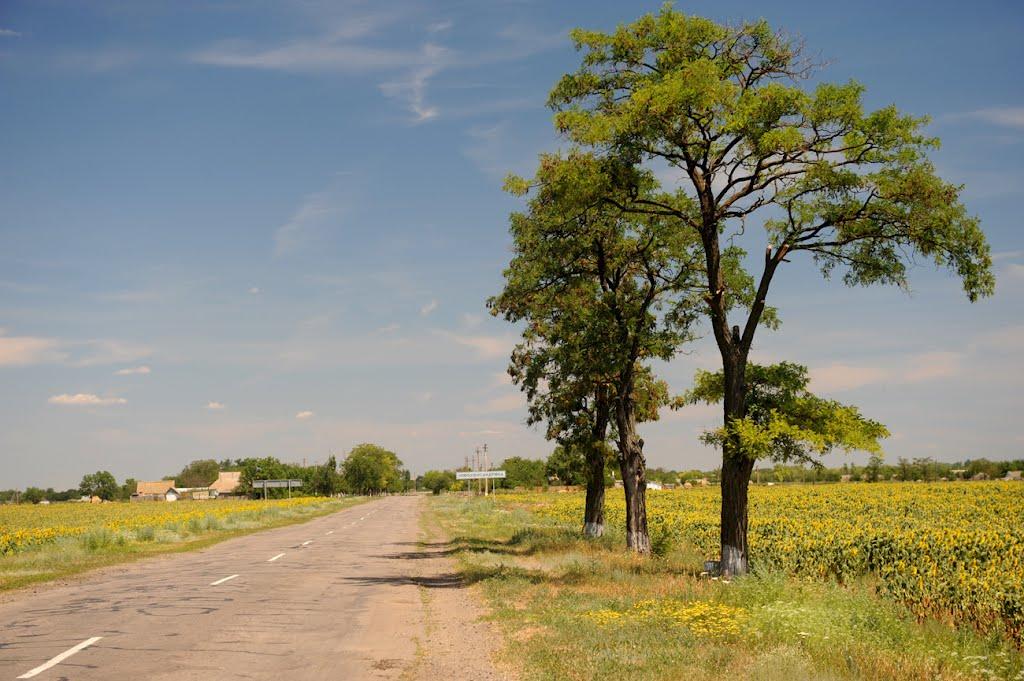 Новоолександрівка з panoramio.com - Новоолександрівка