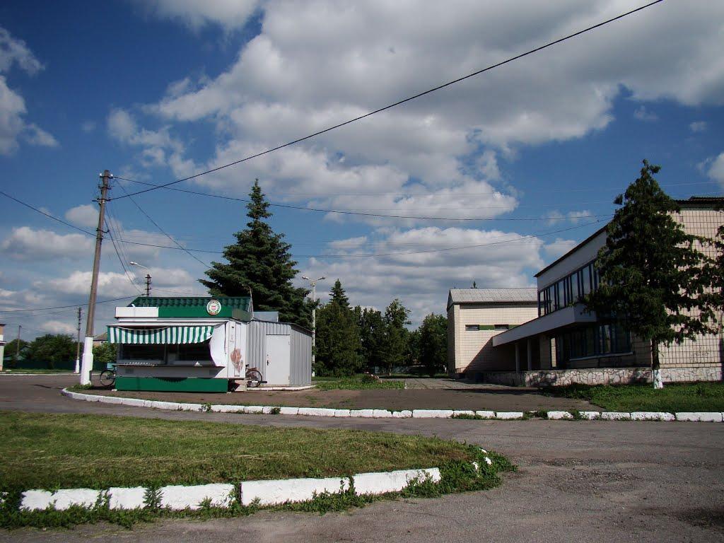 Жовтневе з panoramio.com - Zhovtneve