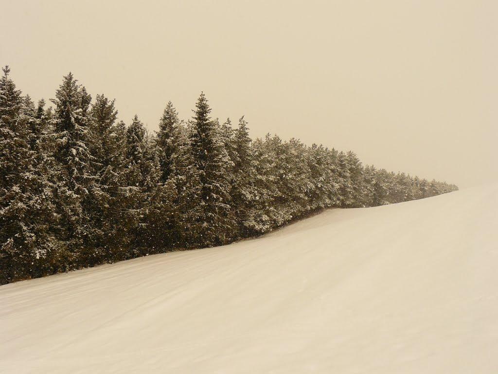 Радісне з panoramio.com - Радісне