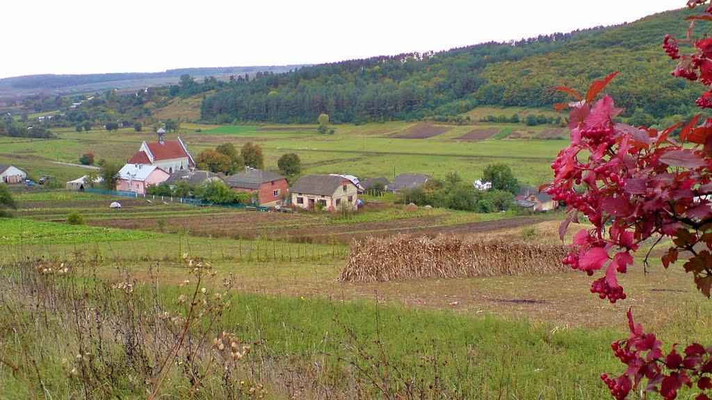 Рогачин з panoramio.com - Рогачин