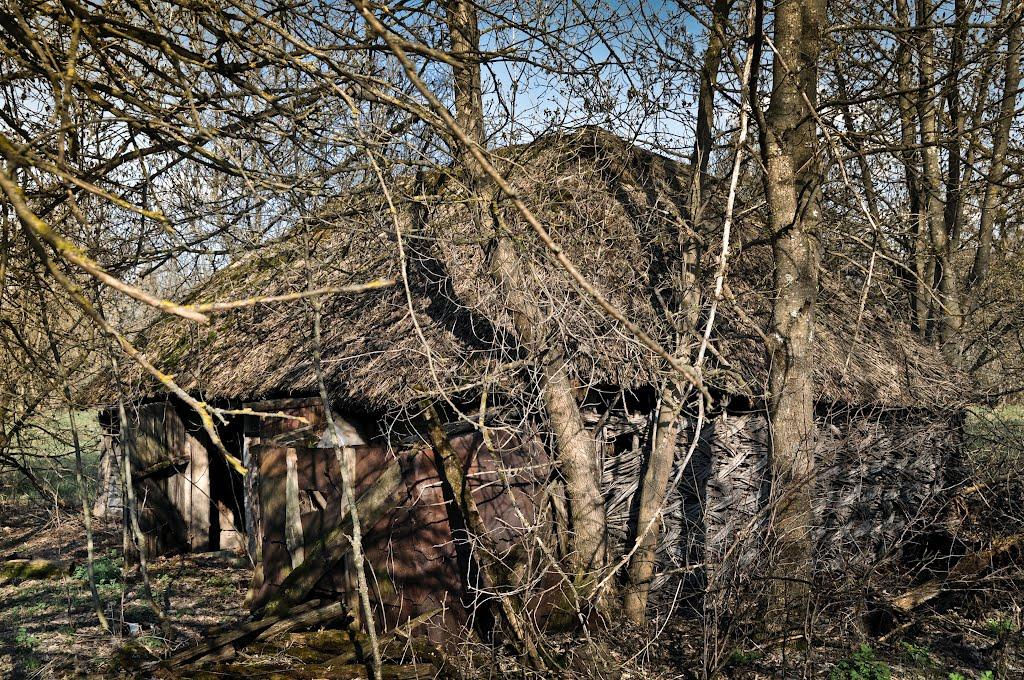 Чорнобиль з panoramio.com (ч.2) - Чернобыль