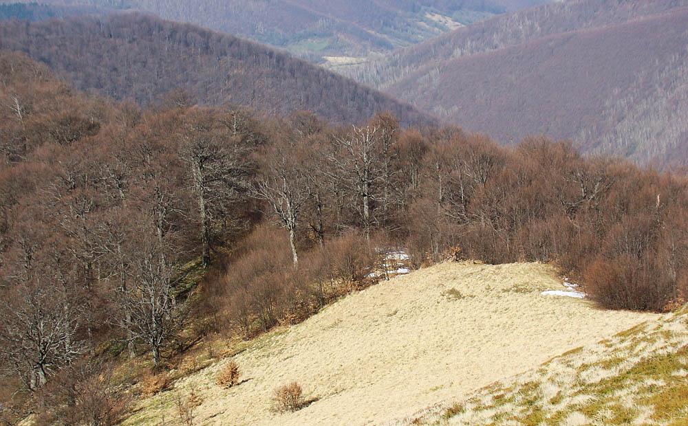 Сопки з panoramio.com - Сопки