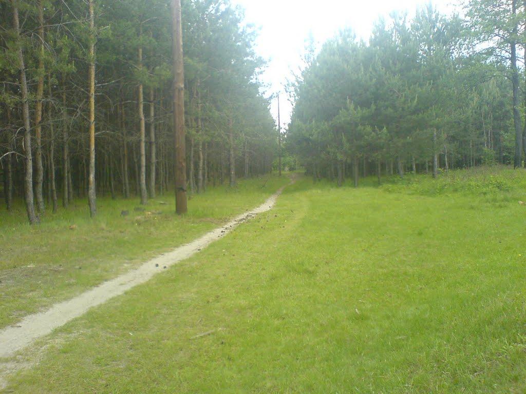 Вири з panoramio.com - Виры