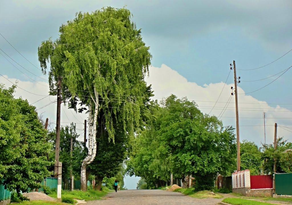 Хмільник з panoramio.com