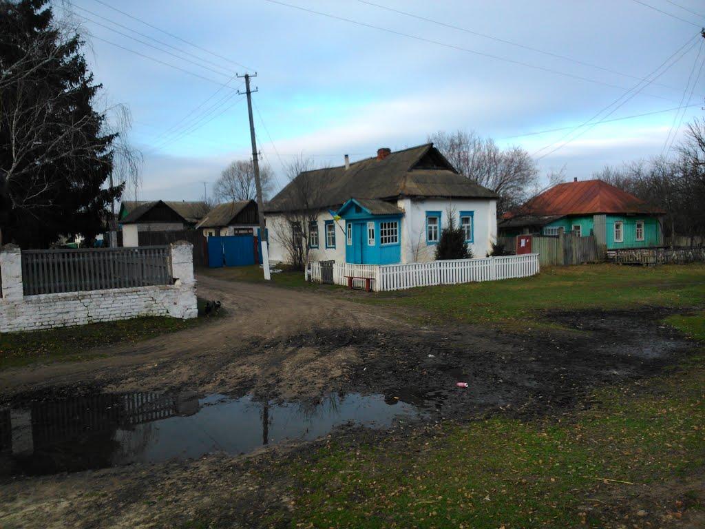 Старикове з panoramio.com - Стариково