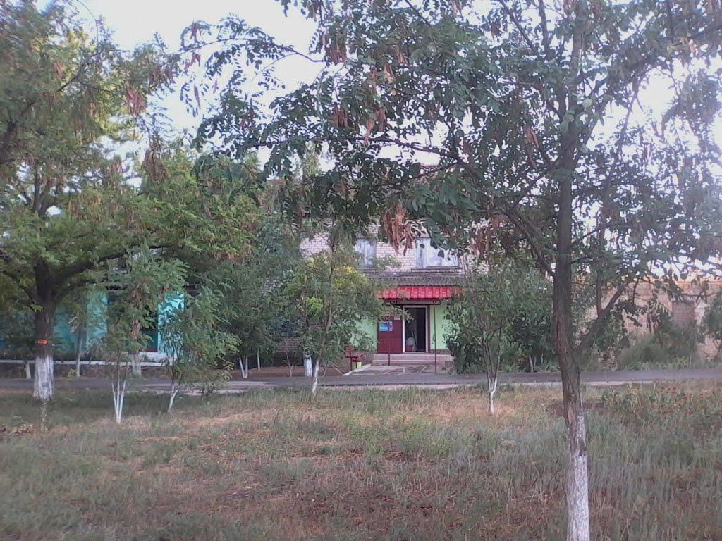 Новотимофіївка з panoramio.com - Новотимофеевка