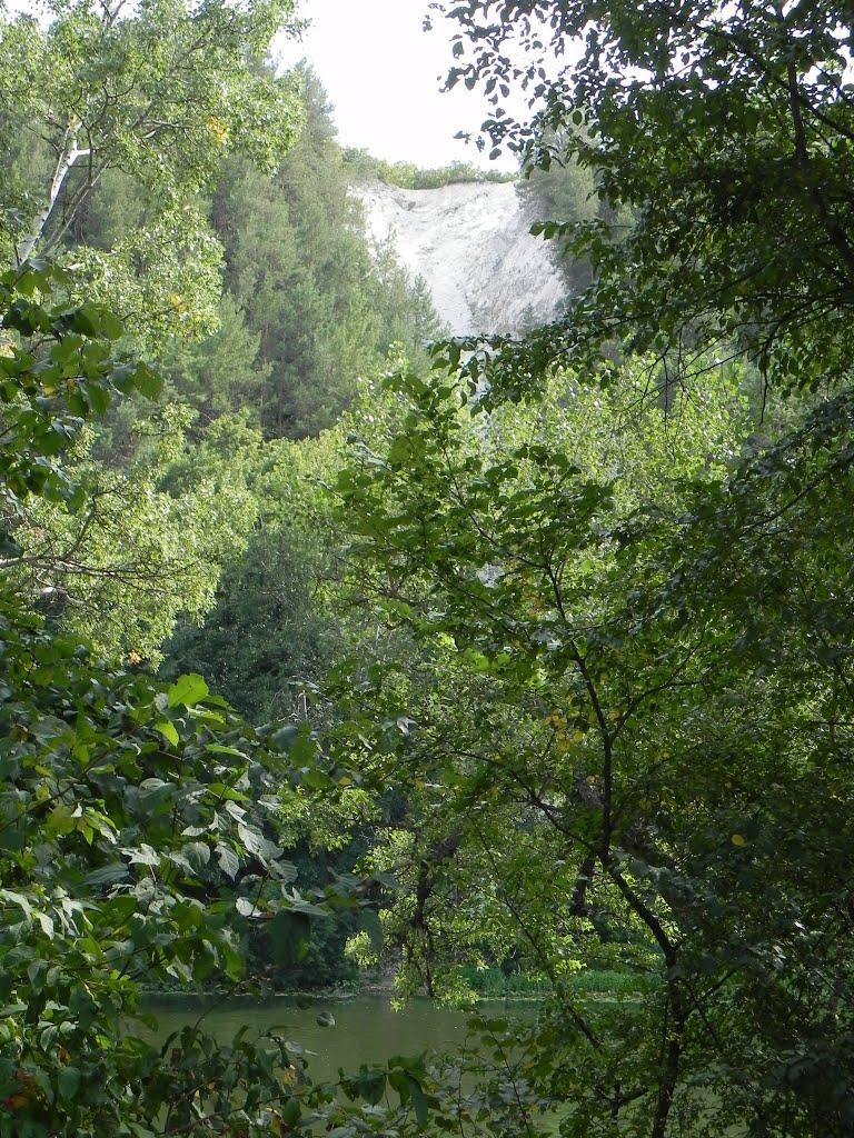 Богородичне з panoramio.com - Bogorodychne
