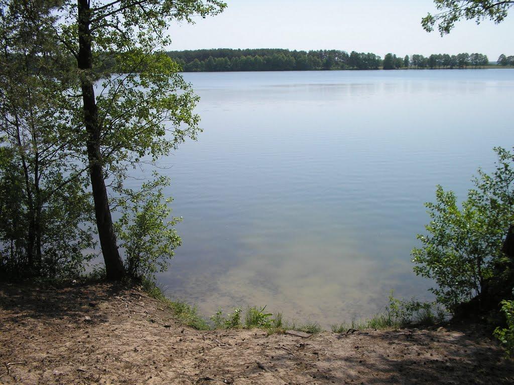 Заболоття з panoramio.com - Заболоття