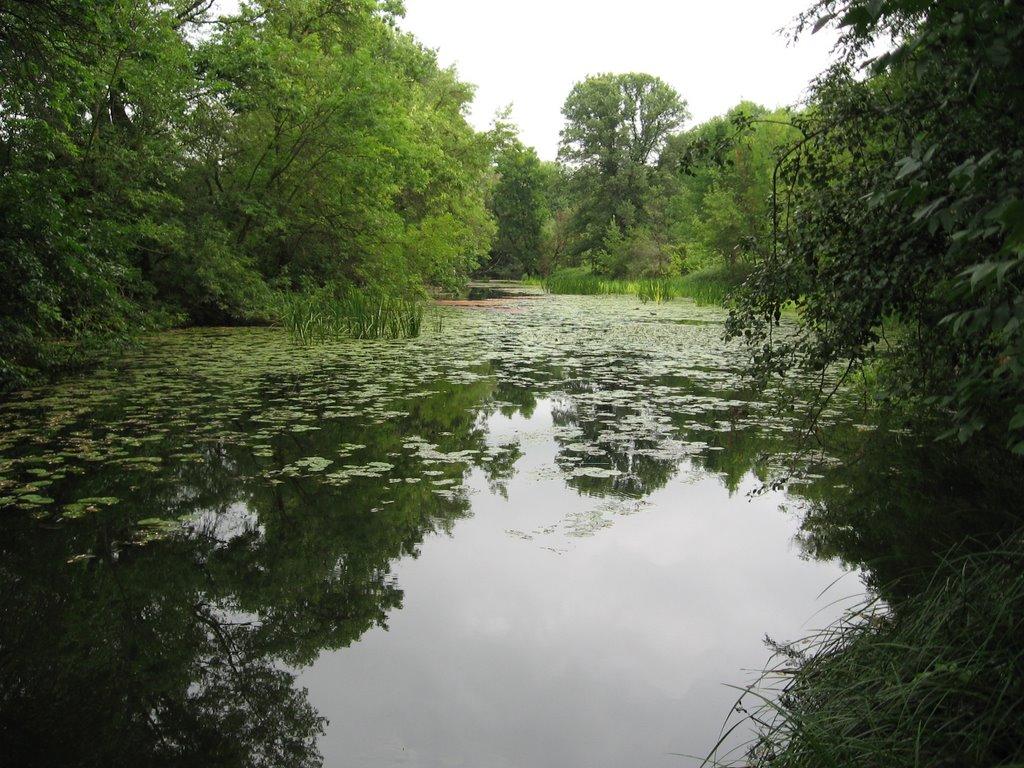 Бадалово з panoramio.com - Бадалово