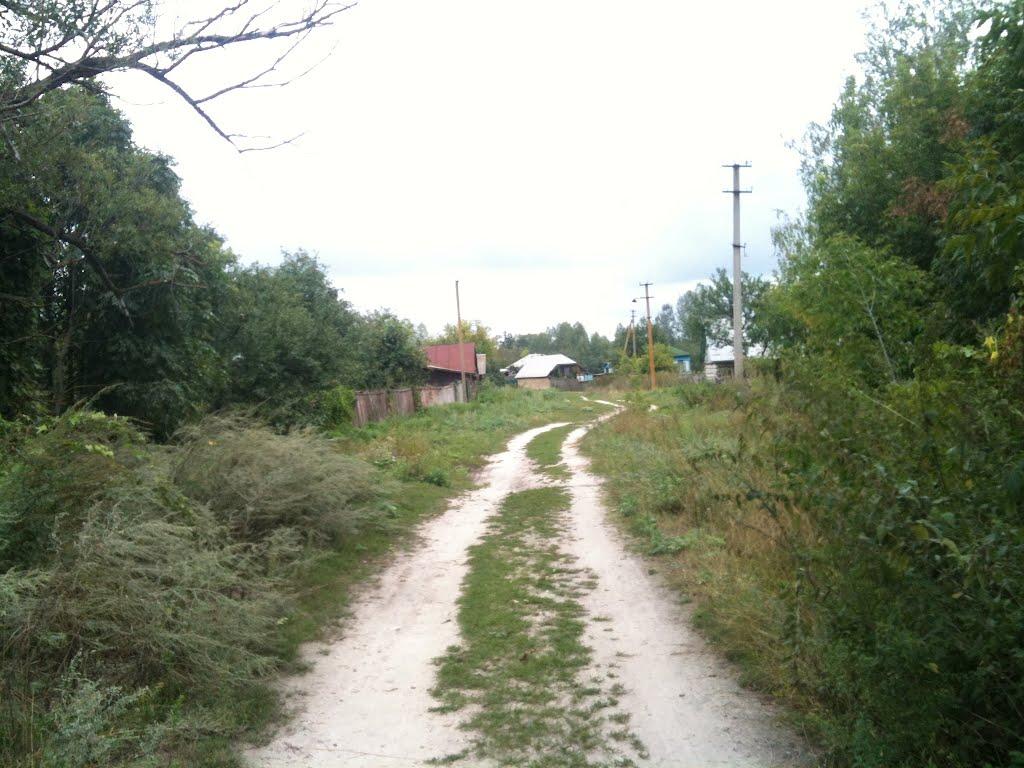 Любитове з panoramio.com - Любитово