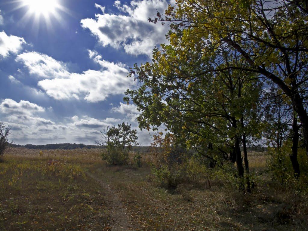 Львів з panoramio.com - Львів