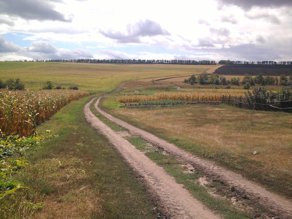 Березівка з panoramio.com - Березовка