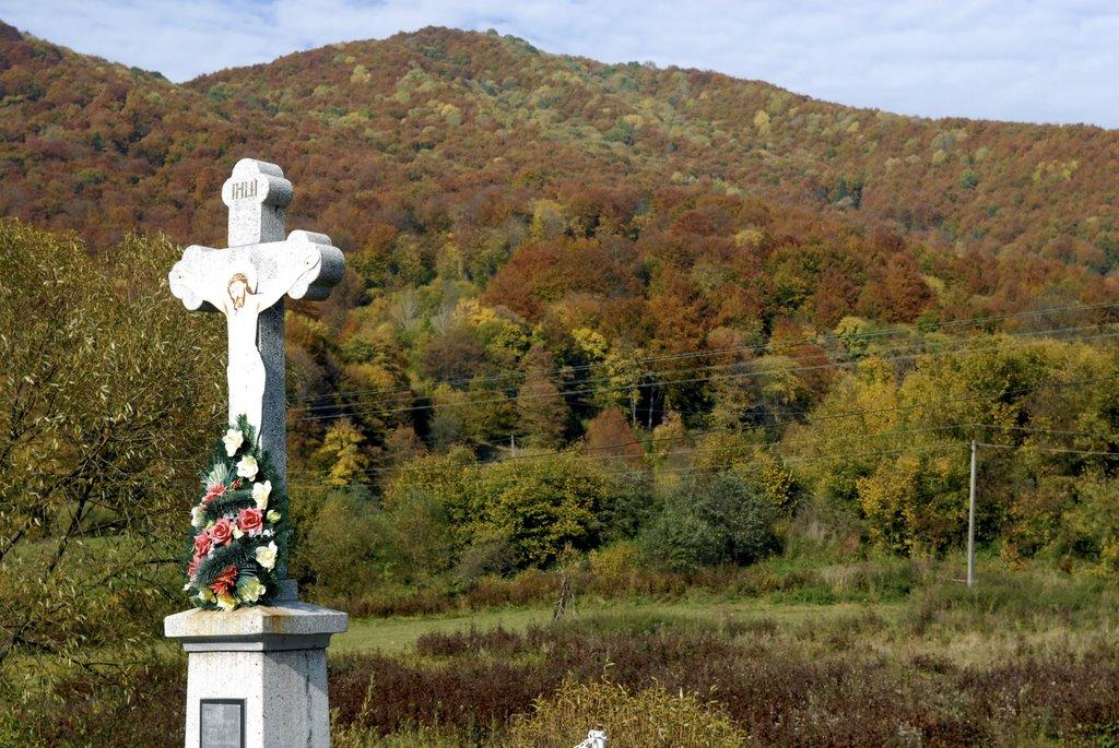 Верхнє з panoramio.com - Верхнє