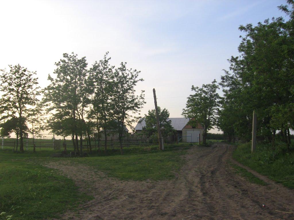 Новоолександрівка з panoramio.com - Новоолександрівка