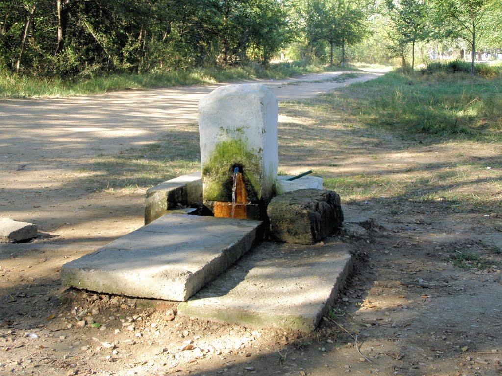 Нововідрадне з panoramio.com - Новоотрадное