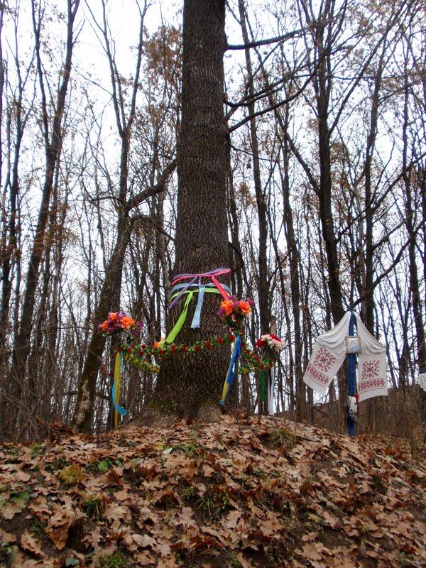 Ріжки з panoramio.com - Ріжки