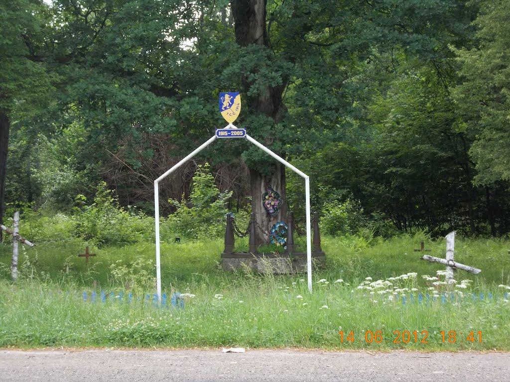 Лисовичі з panoramio.com - Лысовичи