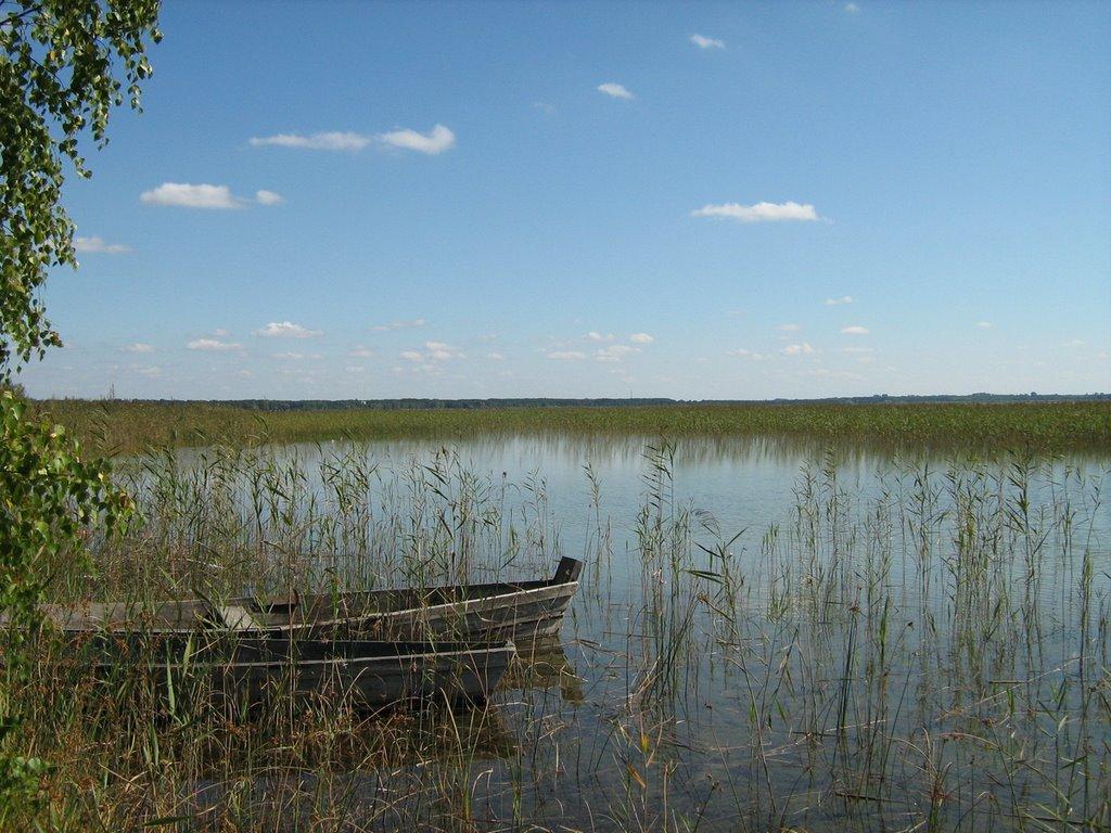 Світязь з panoramio.com - Свитязь