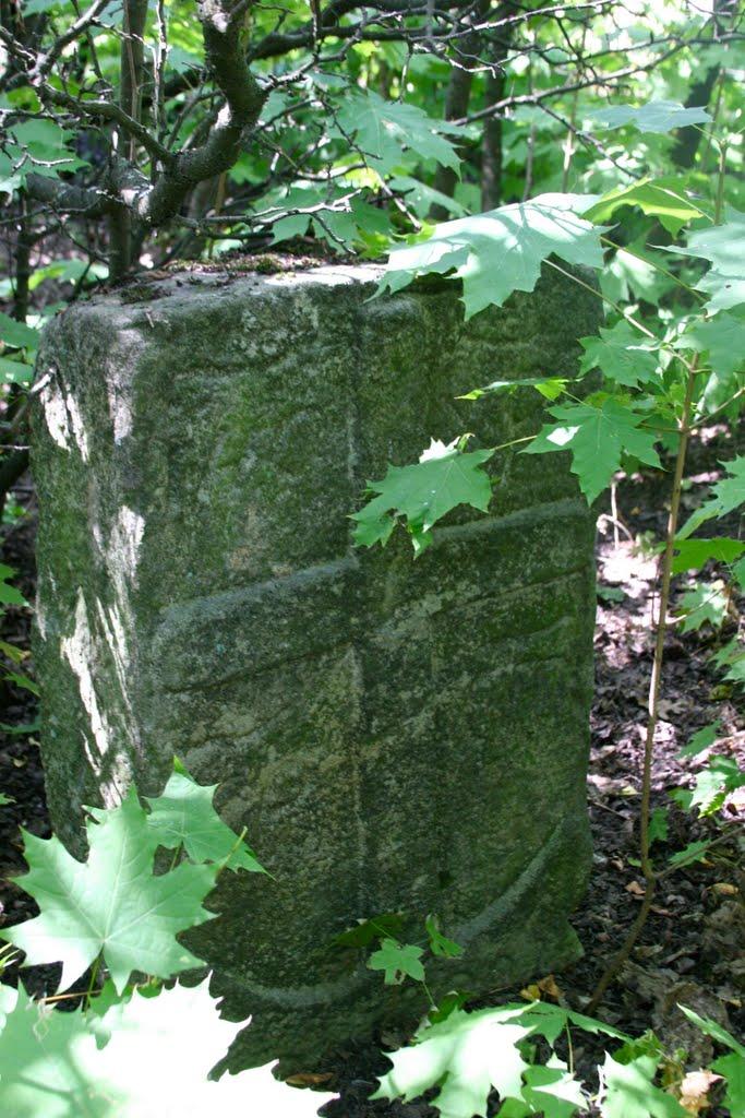 Луковиця з panoramio.com - Луковица