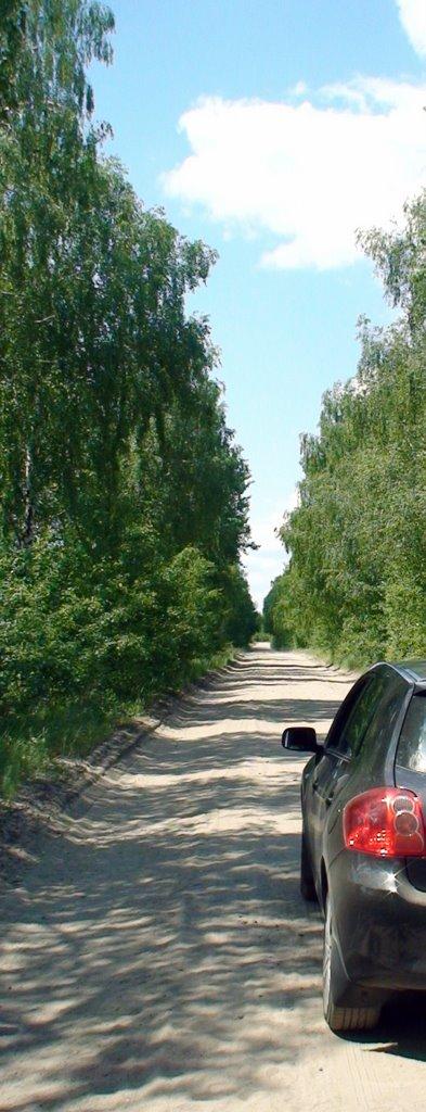 Світязь з panoramio.com - Свитязь